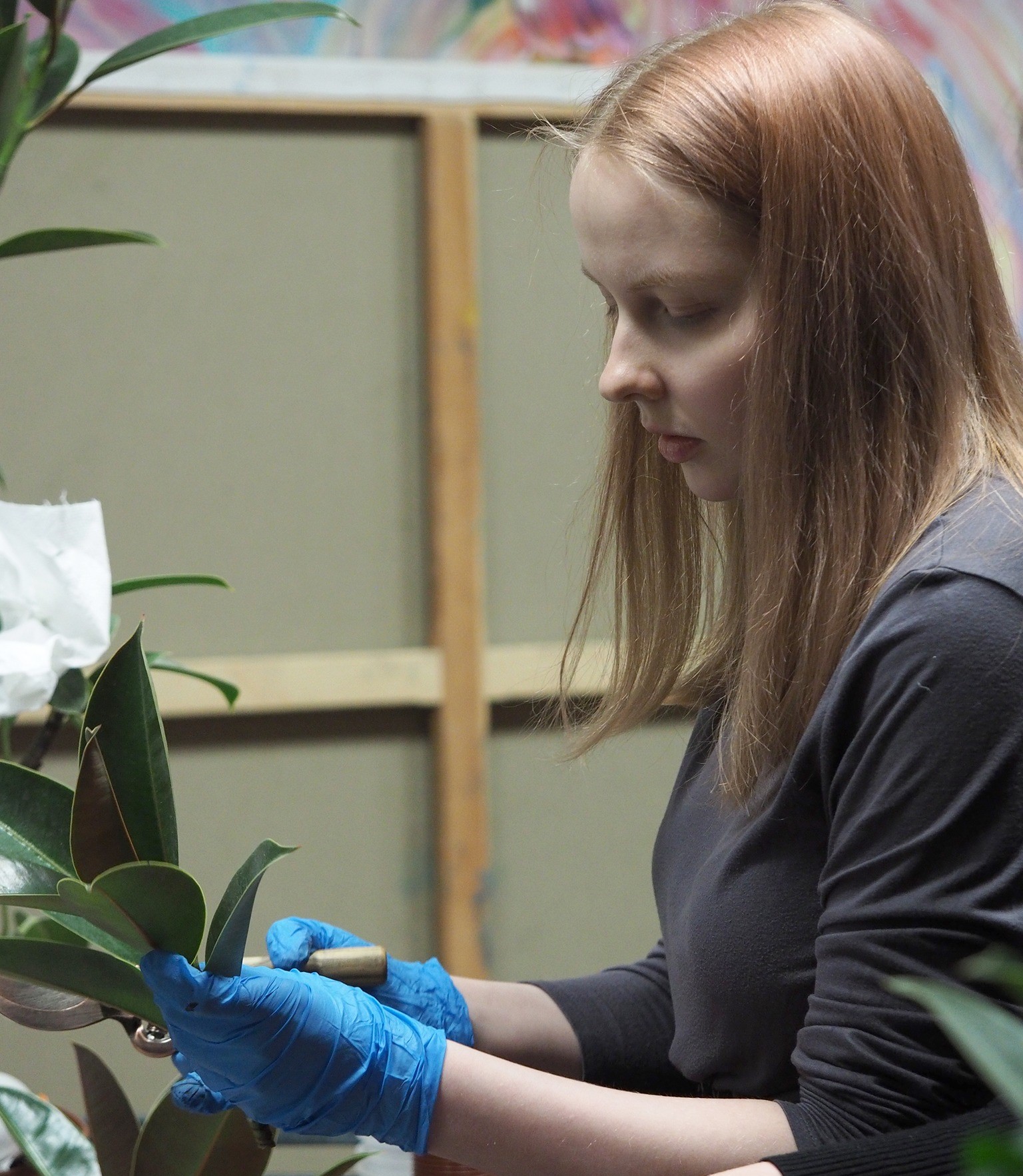 Me in indoor plant care courses